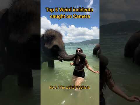 Top 5 Weird Moments Caught on Camera