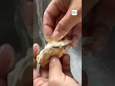 Lizard Stuck in Paint