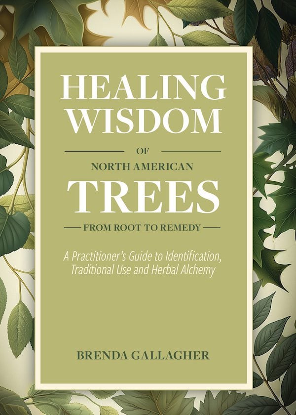 Healing Wisdom of NA Trees Healing Wisdom of NA Trees book cover