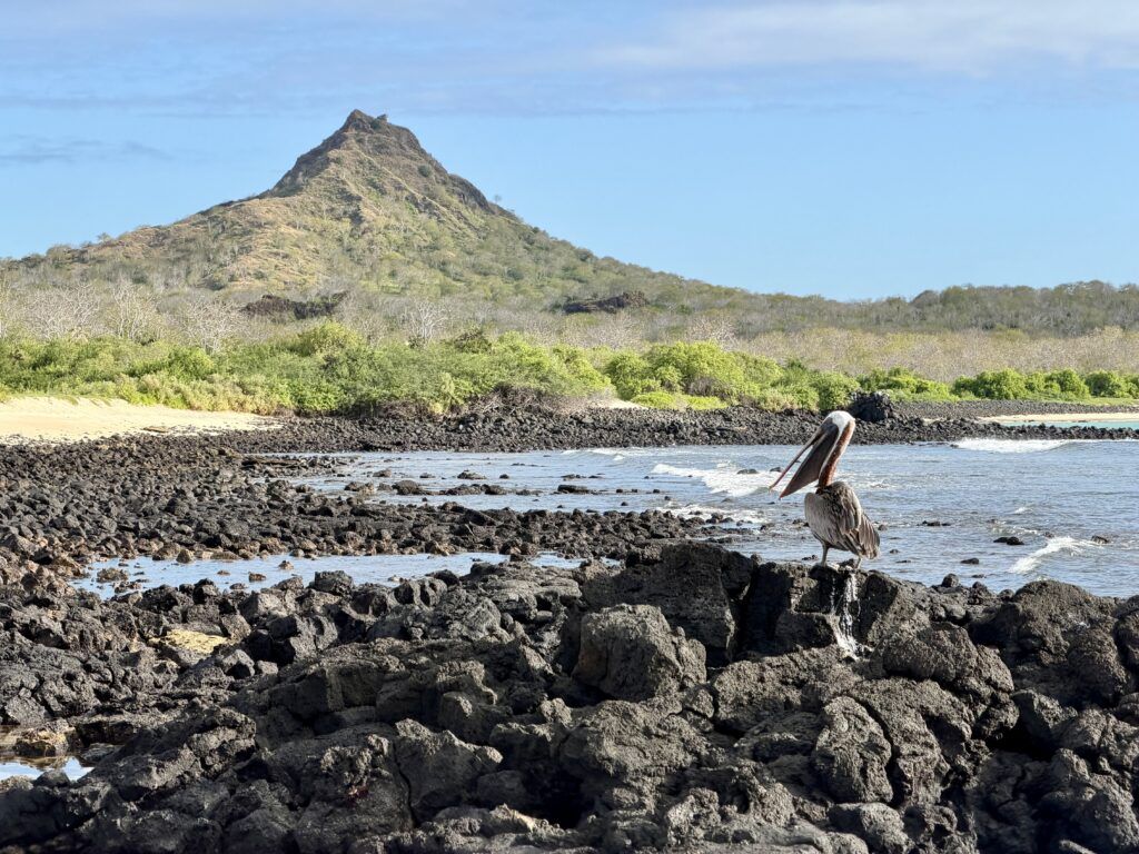 Dragon Hill In Galapagos 
