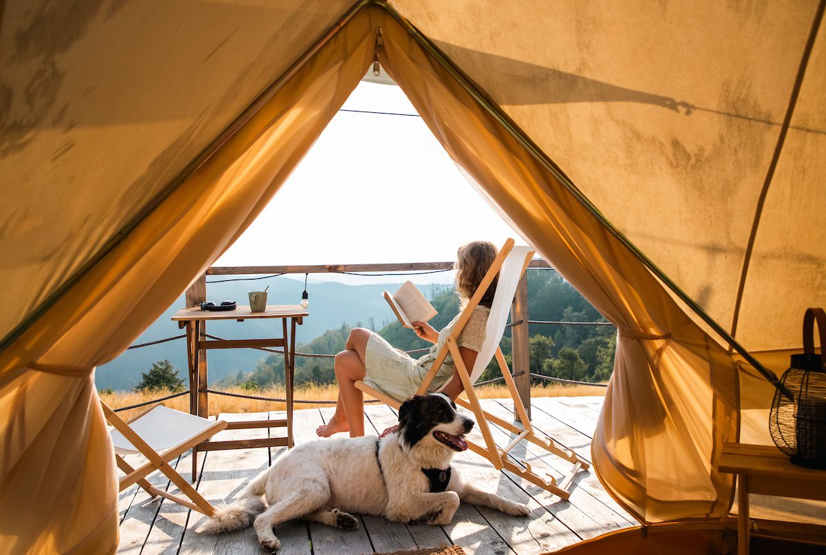 Woman glamping with a dog while reading during the summer