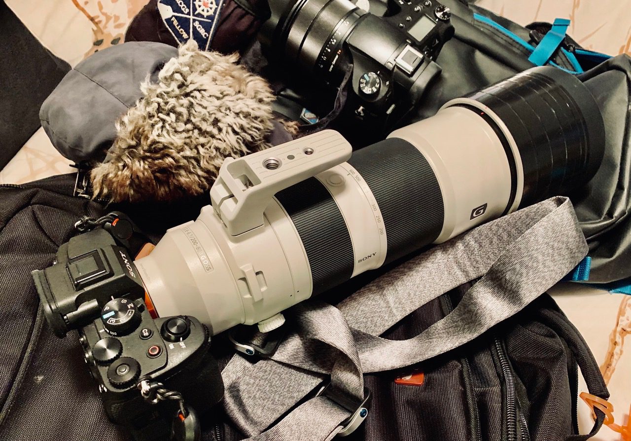 camera bag carol patterson 