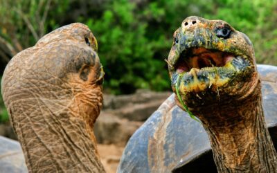 What Women Should Pack for a Trip to the Galapagos Islands