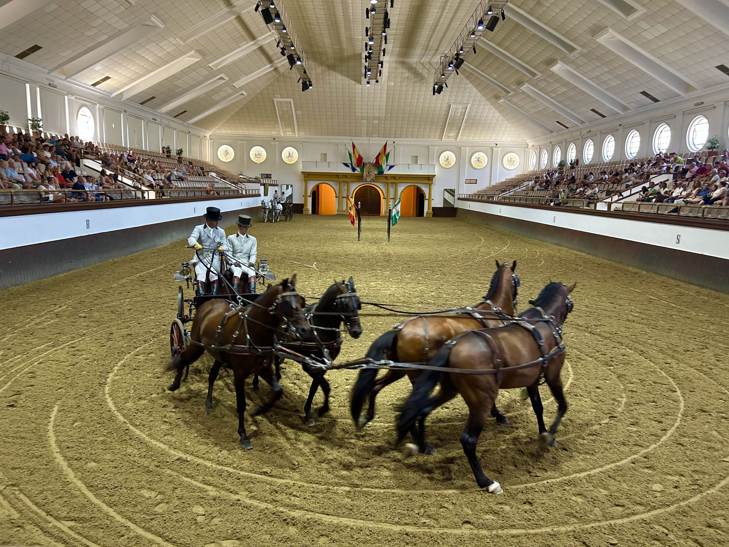 horses at the Royal Andalusian School of Equestrian Art in Jerez Spain 