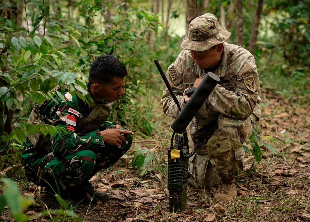 Forged in the Arctic, Built for the Fight: 11th Airborne Division Trains Across Pacific