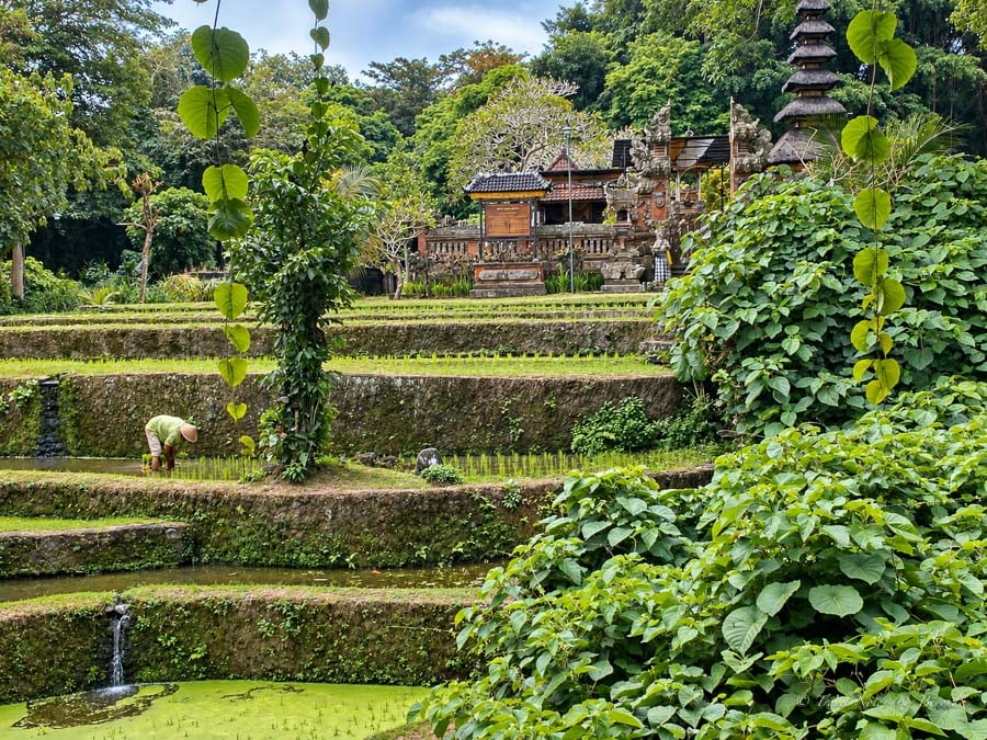 2 week Indonesia Itinerary