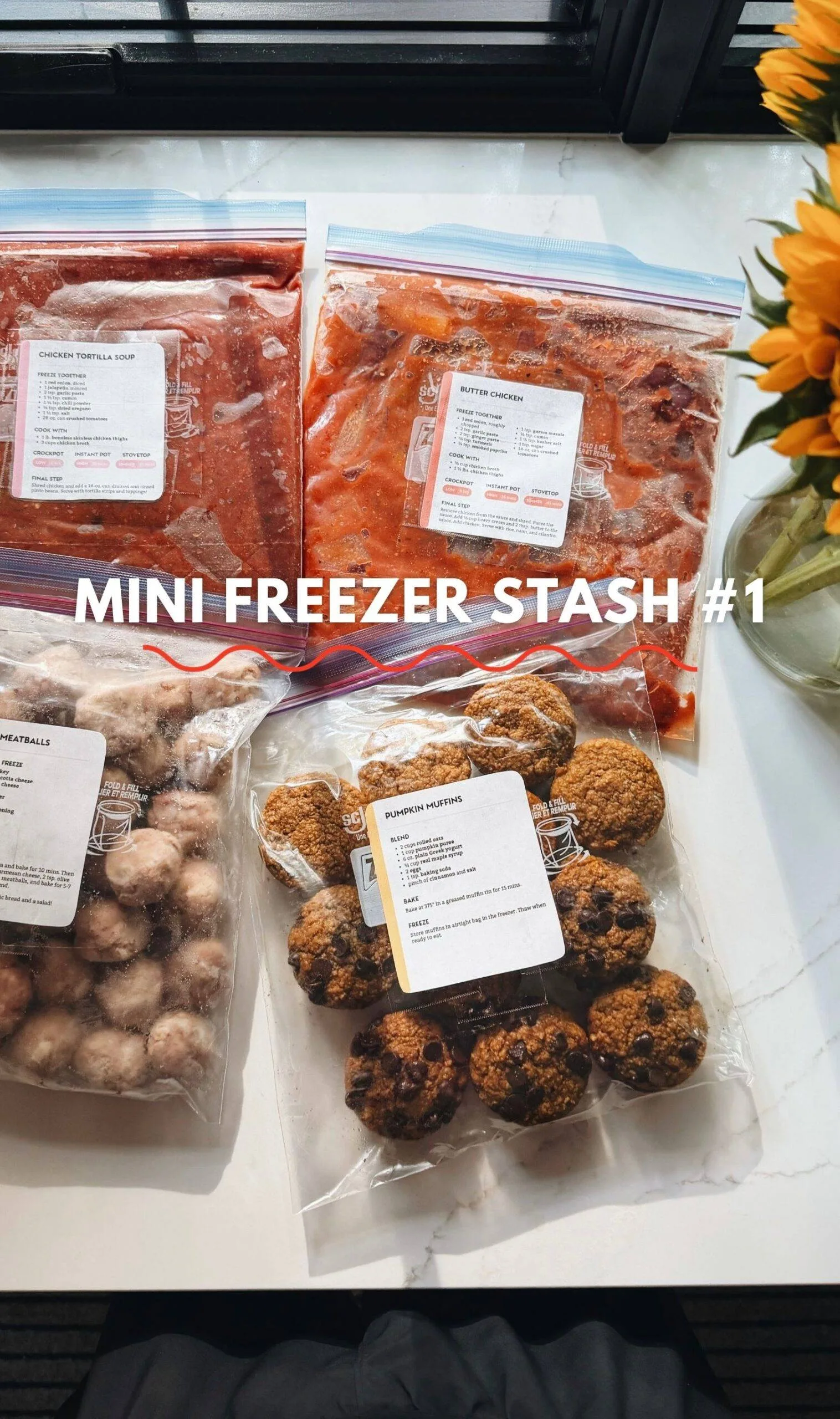 Mini freezer stash 1 scaled