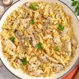 Overhead view of a pot of chicken stroganoff.