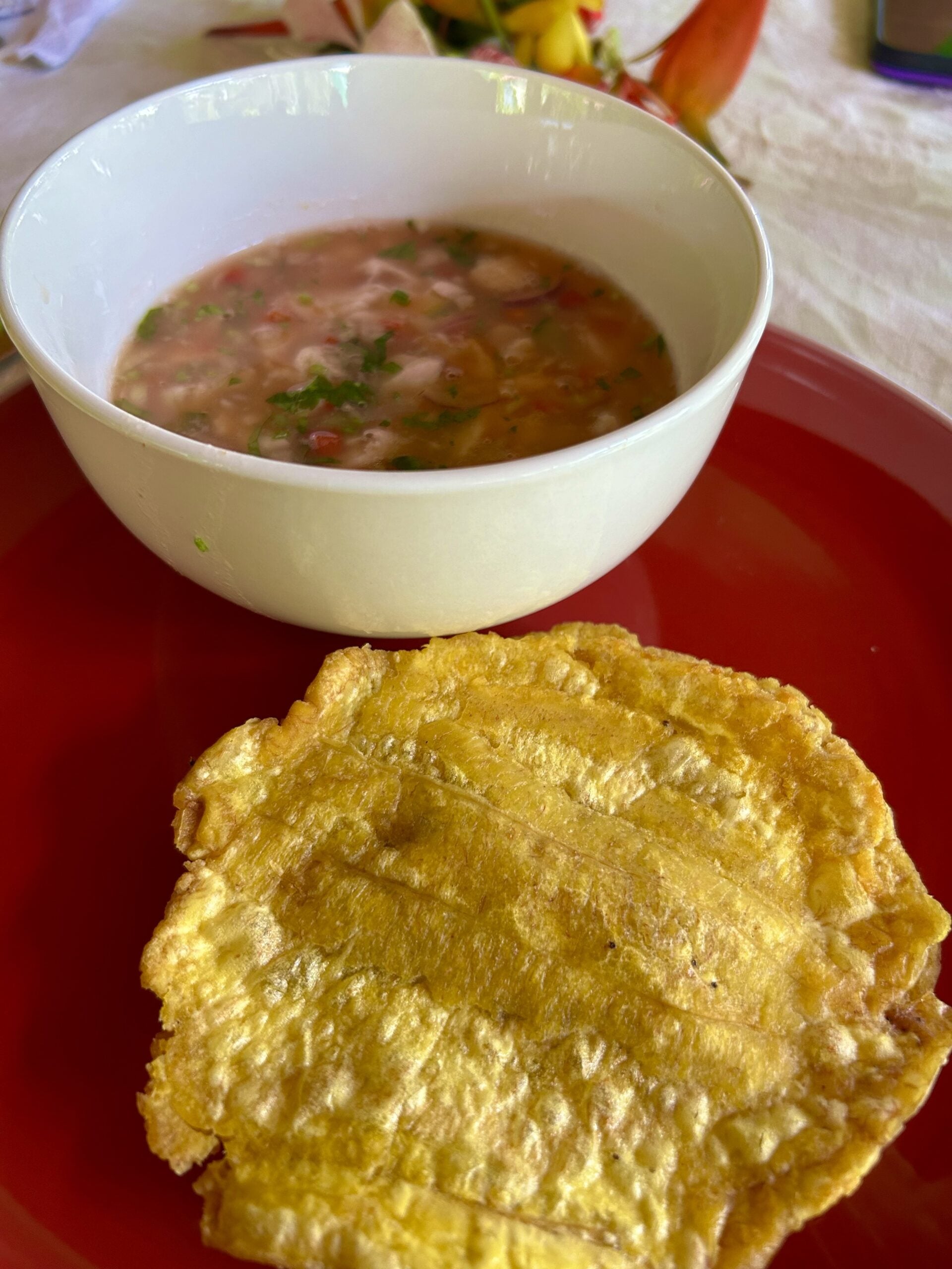 fried plantain meal costa rica 