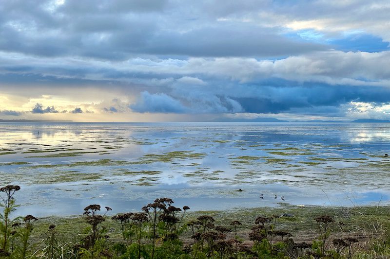 Boundary Bay, British Columbia