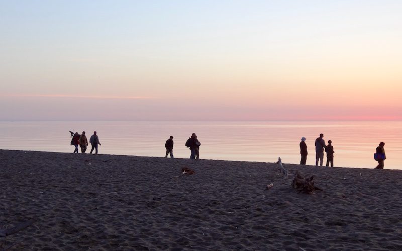Point Pelee at dawn