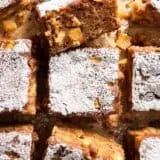 Overhead view of an apple spice cake cut into squares.