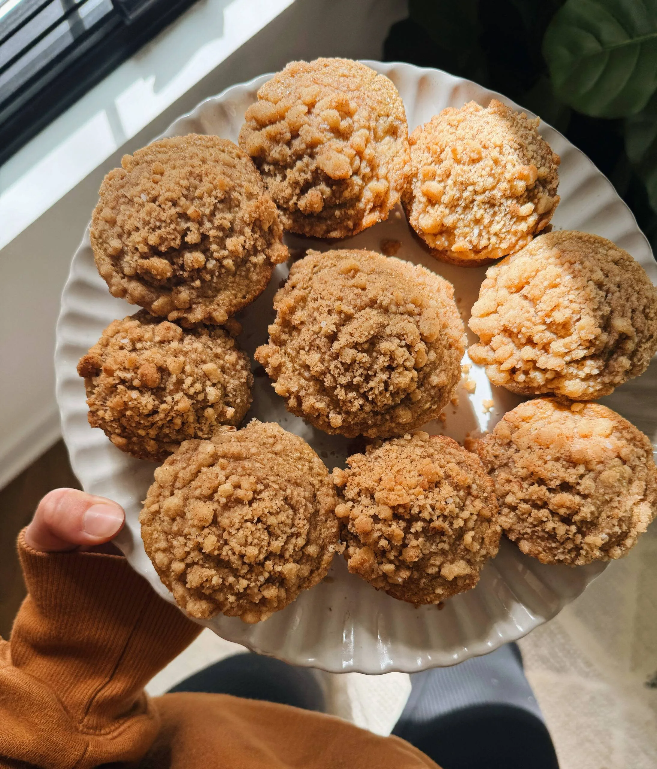 Food, Muffins, Plate