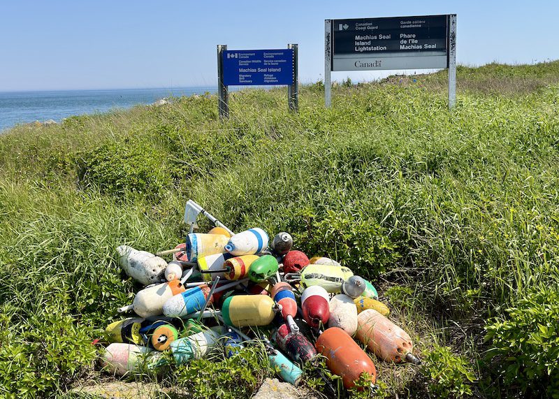 Canadian government signs on Machias Seal Island