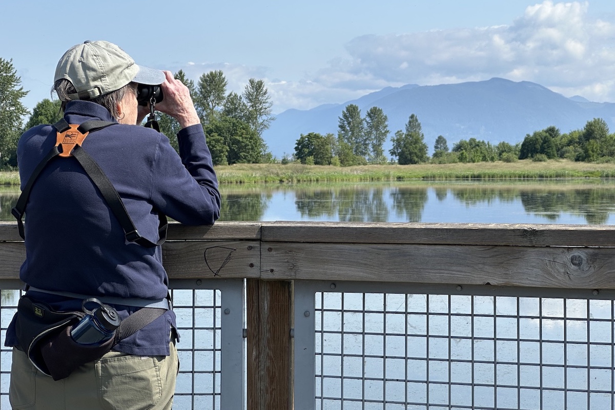 Carol Patterson Birdwatching for Beginners Woman birdwatching at home