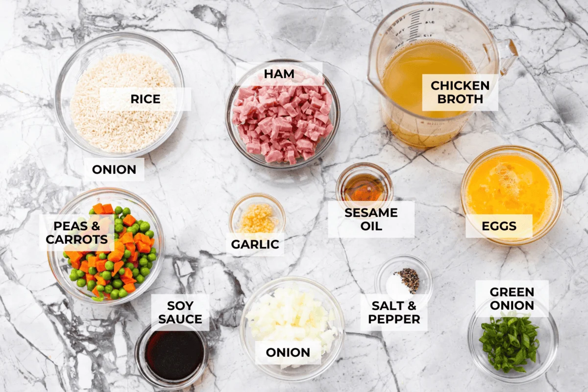 Overhead shot of labeled baked fried rice ingredients. 