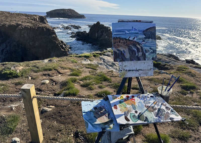 Painting puffins at Elliston