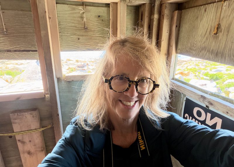 Writer Jennifer Bain inside a bird blind on Machias Seal Island
